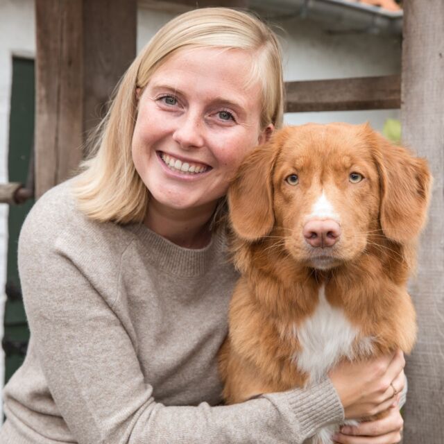 Heb je een puppy en droom je ervan om hem 𝐨𝐯𝐞𝐫𝐚𝐥 𝐦𝐞𝐞 𝐧𝐚𝐚𝐫𝐭𝐨𝐞 𝐭𝐞 𝐤𝐮𝐧𝐧𝐞𝐧 𝐧𝐞𝐦𝐞𝐧? Samen 𝐨𝐧𝐭𝐬𝐩𝐚𝐧𝐧𝐞𝐧 𝐰𝐚𝐧𝐝𝐞𝐥𝐢𝐧𝐠𝐞𝐧 te maken? Hem los te durven laten en weten dat hij zal 𝐥𝐮𝐢𝐬𝐭𝐞𝐫𝐞𝐧? Wil je hem 𝐯𝐚𝐚𝐫𝐝𝐢𝐠𝐡𝐞𝐝𝐞𝐧 𝐯𝐨𝐨𝐫 𝐡𝐞𝐭 𝐥𝐞𝐯𝐞𝐧 aanleren in nabijheid van andere pups en hun baasje? 🐶 

Vanaf zondag 25 september gaat Eline in Dudzele weer aan de slag met kleine groepjes van max. 3 pups. Jullie leren 𝐥𝐢𝐟𝐞 𝐬𝐤𝐢𝐥𝐥𝐬 𝐞𝐧 𝐛𝐚𝐬𝐢𝐬𝐯𝐚𝐚𝐫𝐝𝐢𝐠𝐡𝐞𝐝𝐞𝐧 𝐳𝐨𝐚𝐥𝐬 𝐨𝐧𝐭𝐬𝐩𝐚𝐧𝐧𝐢𝐧𝐠, 𝐫𝐞𝐜𝐚𝐥𝐥, 𝐯𝐨𝐥𝐠𝐞𝐧 𝐚𝐚𝐧 𝐝𝐞 𝐥𝐢𝐣𝐧, 𝐛𝐥𝐢𝐣𝐟, …

Er is bovendien een 𝐳𝐢𝐧𝐭𝐮𝐢𝐠𝐞𝐧𝐩𝐚𝐫𝐜𝐨𝐮𝐫𝐬 waar je pup zijn lichaampje kan ontdekken terwijl jij leert hoe je hem kan stimuleren dit juist te gebruiken! 

𝘒𝘰𝘳𝘵𝘰𝘮, 𝘥𝘦 𝘣𝘦𝘴𝘵𝘦 𝘴𝘵𝘢𝘳𝘵 𝘷𝘰𝘰𝘳 𝘫𝘦 𝘱𝘶𝘱 💪

🏠 In onze praktijk te Dudzele 
📅 Vanaf 25 september, op zondag om 9u of om 10u30
🐕 Voor pups tot 20 weken (oudere pups kunnen in een ander groepje)
💰 150eur per reeks van 6 groepslessen
👉 Informatie en inschrijven via 
 eline@gedragscentrumvoorhonden.be of 0494 49 45 11

🔗 Eerder op zoek naar individuele puppybegeleiding? Via de link in ons profiel kan je alle informatie terugvinden. 

Tot binnenkort, in onze puppyklas! 🐾

📷 @hiko.photography 

#gedragscentrumvoorhonden #hondengedrag #hondengedragstherapie #hondengedragstherapeut #hondengedragsdeskundige #hondenexpert #puppyopvoeding #puppylessen #puppytraining #positieftrainen #hondentraining #hondenwelzijn #viervoeters #puppycursus #gedragsbegeleiding #hondenbegeleiding #taalvandehond #hondentaal #hondenkennis #hondenprofessional #diergedragsprofessional #hondenspecialist