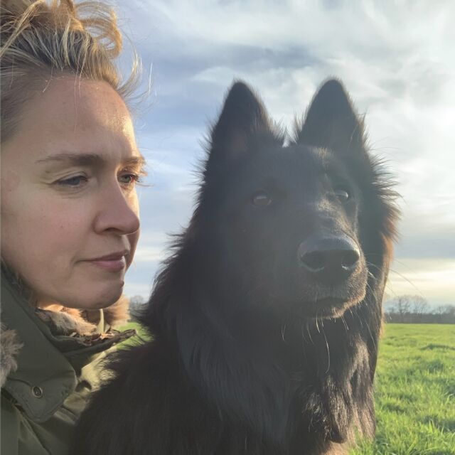 “An adolescent dog is a puppy brain in an adult body” - Dr. Kathy Murphy

Nu Charel 8 maanden oud is, ziet hij er (zo goed als) volwassen uit. De grote valkuil is echter om te verwachten dat hij zich ook al zo zal gedragen. 🤷 

Adolescente hersenen zijn in feite nog minder stabiel dan die van een pup. Tel daar nog eens de intense hormonale veranderingen bij op, het feit dat adolescenten 2 keer zo lang nodig hebben om te herstellen van stress én een totaal gebrek aan zelfcontrole (waar ze overigens niets aan kunnen doen omdat dit stukje in hun hersenen pas als laatste ontwikkelt) en je krijgt… inderdaad: a recipe for disaster! 💥

‘Making the wrong thing difficult & the right thing easy' (lees hierover meer in een van onze vorige posts) is meer dan ooit van toepassing als je een fijne relatie met je puber wil behouden. Geef je hond de ruimte om zichzelf te ontplooien, maar ook de grenzen die hij nodig heeft om dit op een veilige manier te kunnen doen. 

Leg de lat laag, héél laag. Doe leuke dingen, ga naar huis als hij het moeilijk krijgt en vermijd tijdelijk moeilijke situaties. Wat vandaag niet kan, gaat morgen waarschijnlijk vanzelf. Of ja, in ieder geval toch als hij volwassen is. Beloofd 😉

Liefs, Laura 🍀

#puppybegeleidingaanhuis #puppybegeleiding #hondengedragsdeskundige #hondengedrag #gedragstherapiehond #hondengedragstherapeut #puppycursus #puppycursusaanhuis #hondenspecialist #hondenexpert #opleidinghondengedragstherapeut #opleidinghondengedragsdeskundige #opleidinghondentrainer #gedragscentrumvoorhonden #laurabangels #asielhond #hondenwelzijn #hondenwelzijnvoorop #hondentaal #gedragsbegeleidingvoorhonden #hondengedragstherapie #lummen