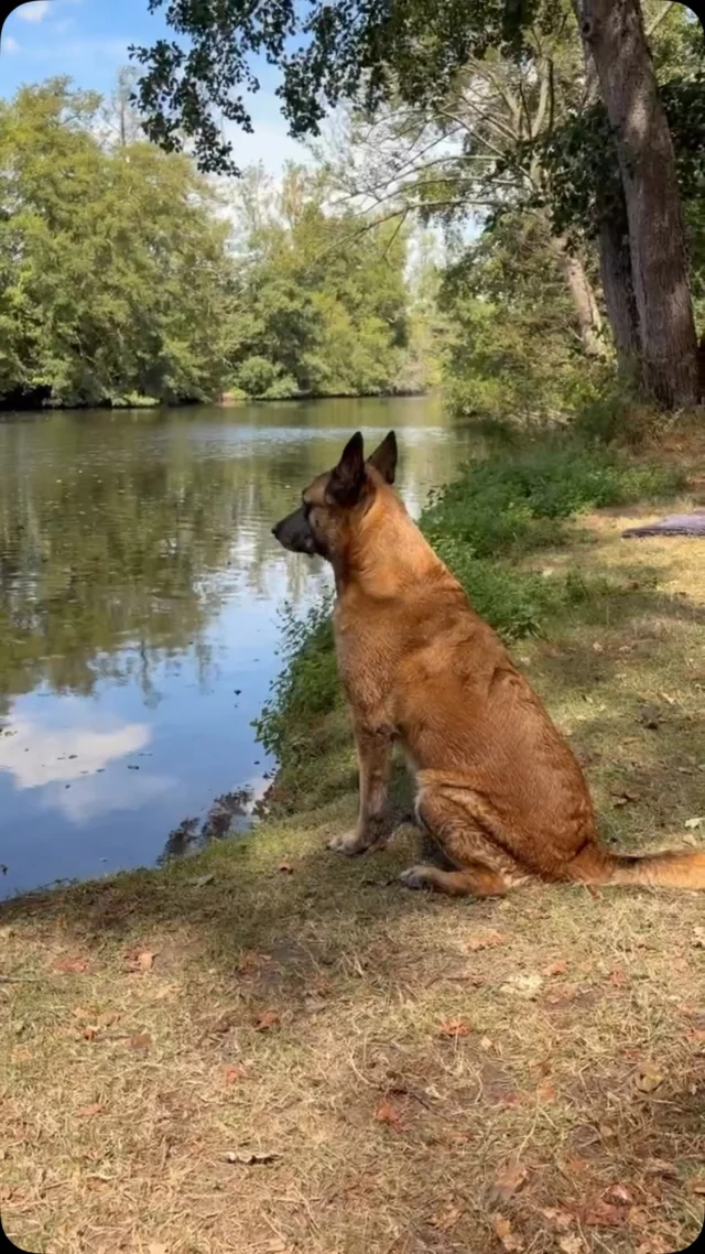 See the world through their eyes - Werelddierendag 2026 ♥️